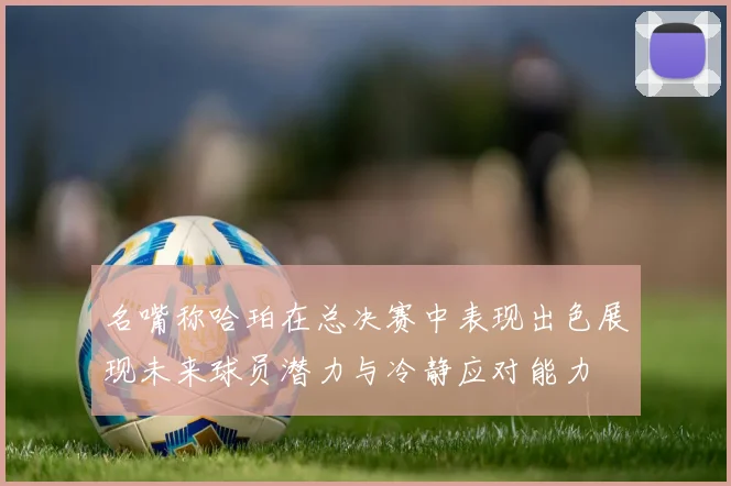 名嘴称哈珀在总决赛中表现出色展现未来球员潜力与冷静应对能力