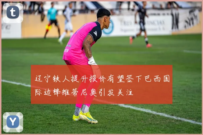 辽宁铁人提升报价有望签下巴西国际边锋维蒂尼奥引发关注